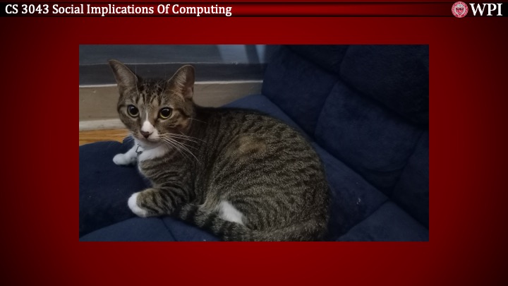 Slide22.jpeg